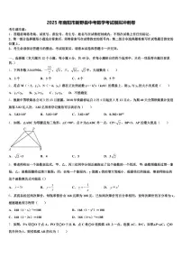 2025年南阳市新野县中考数学考试模拟冲刺卷含解析