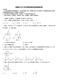 洛南县2025年中考数学最后冲刺浓缩精华卷含解析