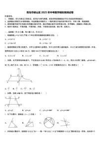 青岛市崂山区2025年中考数学模拟预测试卷含解析