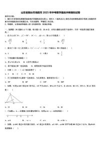 山东省烟台市海阳市2025年中考数学最后冲刺模拟试卷含解析
