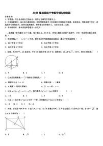 2025届抚顺县中考数学模拟预测题含解析