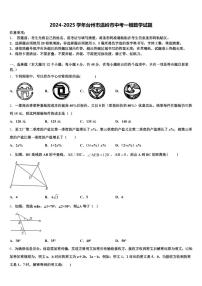 2024-2025学年台州市温岭市中考一模数学试题含解析
