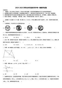 2024-2025学年台州市温岭市中考一模数学试题含解析