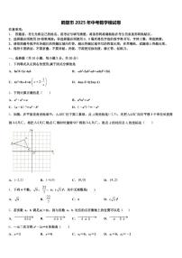 鹤壁市2025年中考数学模试卷含解析