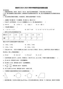 铁岭市2024-2025学年中考数学适应性模拟试题含解析