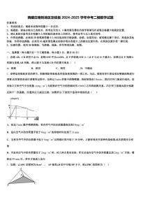 西藏日喀则地区定结县2024-2025学年中考二模数学试题含解析