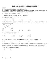 襄城县2024-2025学年中考数学适应性模拟试题含解析