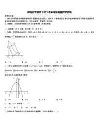 陕西省安康市2025年中考冲刺卷数学试题含解析