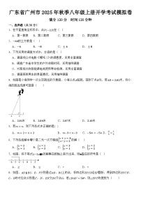 广东省广州市2025年秋季八年级数学上册开学考试模拟卷  含答案