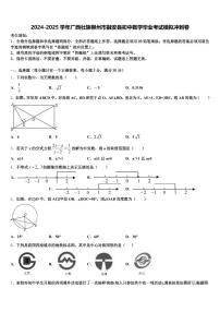 2024-2025学年广西壮族柳州市融安县初中数学毕业考试模拟冲刺卷含解析