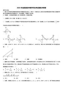 2025年金阳县初中数学毕业考试模拟冲刺卷含解析