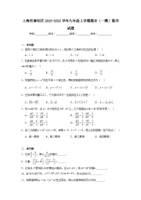 上海市崇明区2023-2024学年九年级上学期期末（一模）数学试题以及答案解析