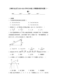 上海市宝山区2023-2024学年九年级上学期期末数学试题（一模）以及答案解析