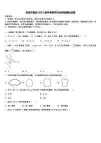 宝鸡市眉县2025届中考数学对点突破模拟试卷含解析