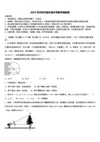 2025年开封市通许县中考数学猜题卷含解析