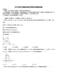 2025届丰宁满族自治县中考数学全真模拟试题含解析