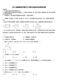 2025届西藏拉萨市墨竹工卡县中考适应性考试数学试题含解析