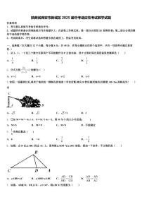 陕西省西安市新城区2025届中考适应性考试数学试题含解析