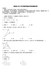 宾阳县2025年中考数学最后冲刺浓缩精华卷含解析