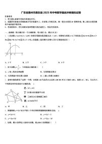 广东省惠州市惠东县2025年中考数学最后冲刺模拟试卷含解析
