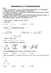 安徽省合肥市蜀山区2025年中考适应性考试数学试题含解析