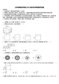 山东省聊城市莘县2025届中考冲刺卷数学试题含解析