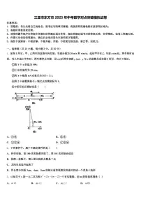 三亚市东方市2025年中考数学对点突破模拟试卷含解析