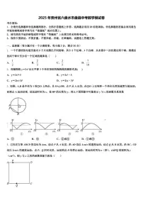 2025年贵州省六盘水市盘县中考数学模试卷含解析