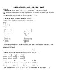 宁夏吴忠市青铜峡市2025届中考数学最后一模试卷含解析