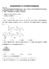 吉林省松原市乾安县2025年中考数学对点突破模拟试卷含解析