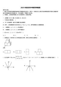 2025年吴忠市中考数学押题卷含解析