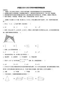 泸溪县2024-2025学年中考数学押题试卷含解析