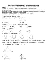 2024-2025学年河北省邯郸市肥乡县中考数学适应性模拟试题含解析