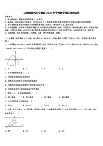 江西省赣州市宁都县2025年中考数学模拟预测试卷含解析