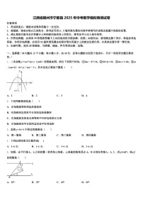江西省赣州市宁都县2025年中考数学模拟预测试卷含解析