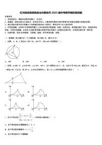 红河哈尼族彝族自治州蒙自市2025届中考数学模拟预测题含解析
