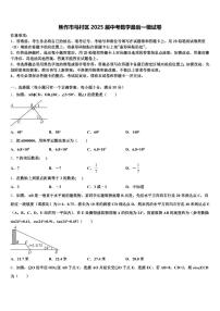 焦作市马村区2025届中考数学最后一模试卷含解析