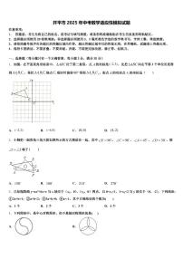 开平市2025年中考数学适应性模拟试题含解析