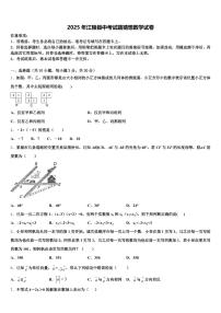 2025年江陵县中考试题猜想数学试卷含解析