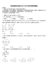 贵州省贵阳市乌当区2024-2025学年中考数学猜题卷含解析