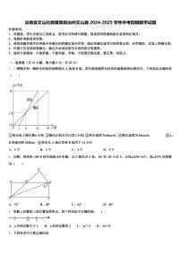 云南省文山壮族苗族自治州文山县2024-2025学年中考四模数学试题含解析