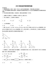 2025年封丘县中考联考数学试题含解析