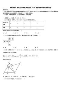 贵州省铜仁地区沿河土家族自治县2025届中考数学模拟预测试卷含解析