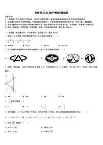 邓州市2025届中考数学模试卷含解析