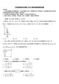 江苏省淮安市洪泽区2025届中考联考数学试卷含解析