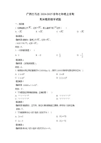 广西巴马县2024-2025学年七年级上学期期末检测试题数学试卷（解析版）