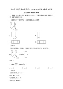 甘肃省兰州市2024-2025学年九年级下学期适应性考试试卷数学试卷（解析版）