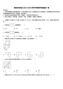 阜新市海州区2024-2025学年中考数学考前最后一卷含解析