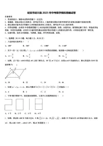 延安市延川县2025年中考数学模拟精编试卷含解析