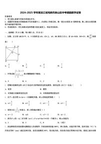 2024-2025学年黑龙江省鸡西市麻山区中考猜题数学试卷含解析